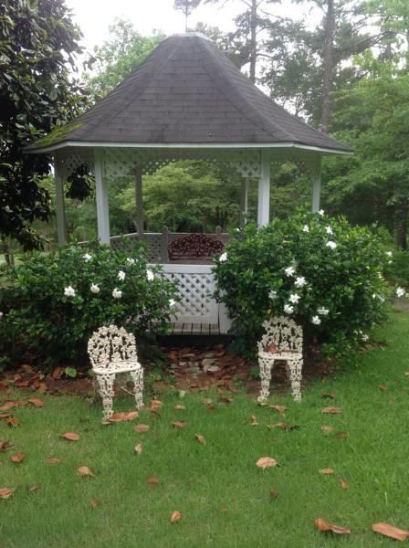 Springwood Inn แอนนิสตัน ภายนอก รูปภาพ